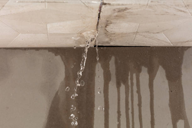 Professional Water Damage Repair technician working in Dumas, TX